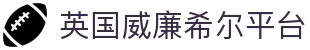 英国·威廉希尔(WilliamHill)中文官网-Official Website